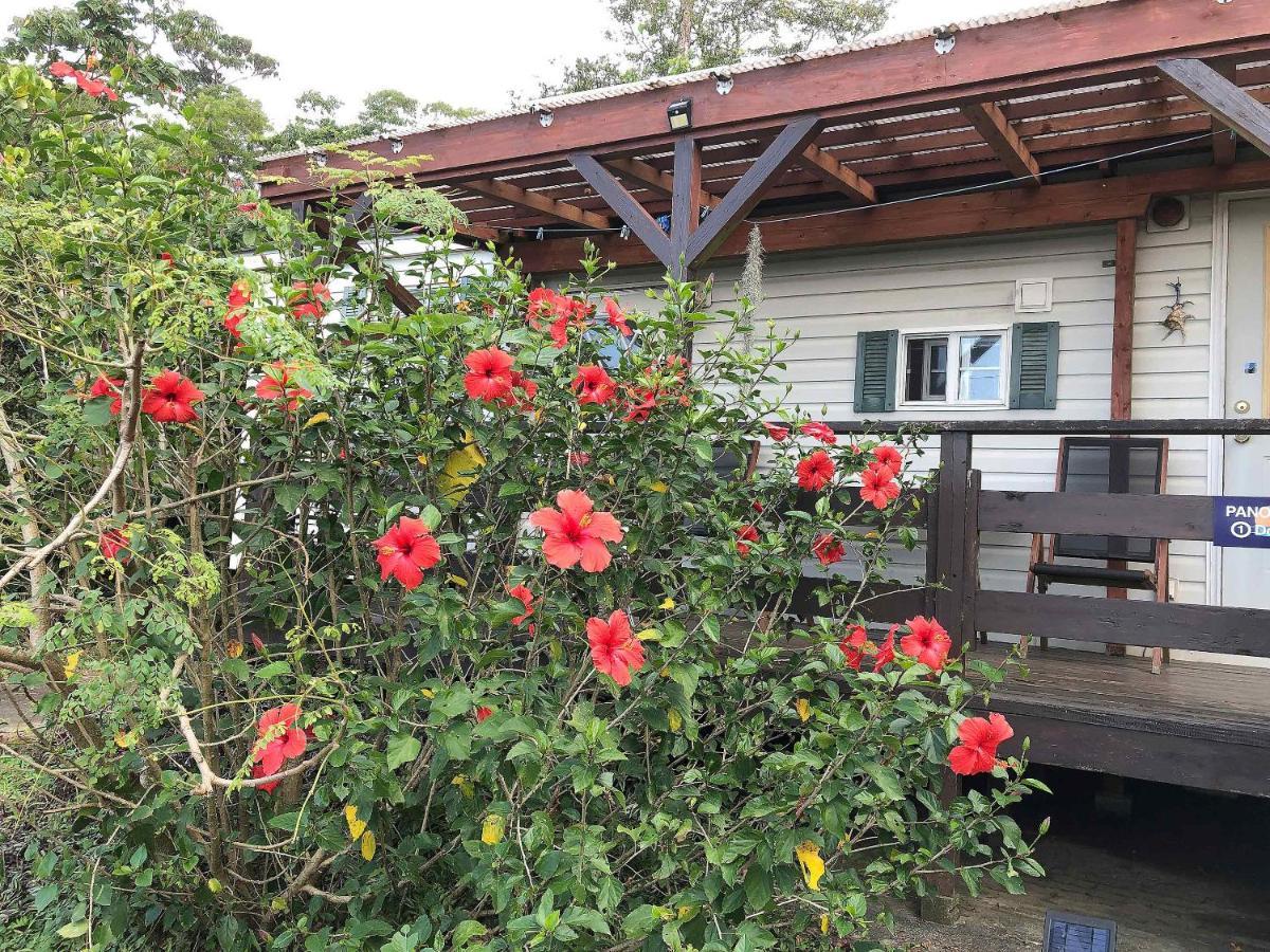 Panorama Ocean View Cottage Motobu Kültér fotó